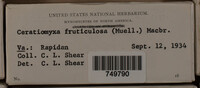 Image Associated With the Occurence